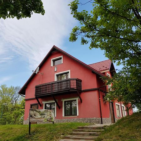 Apartamenty U Bodzia Stronie Śląskie Eksteriør bilde
